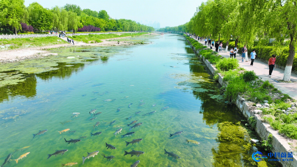 水资源保护新闻